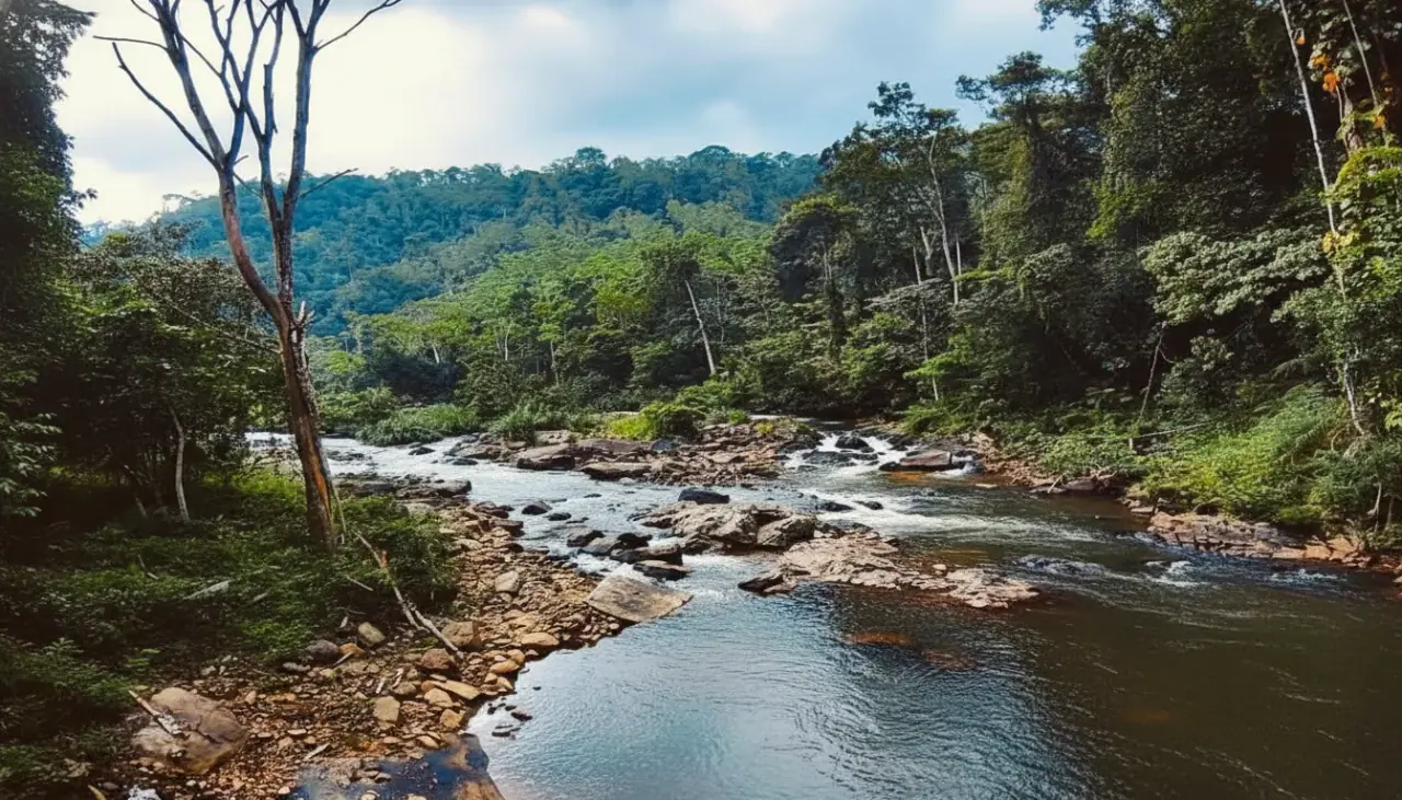 Sinharaja Forest Reserve